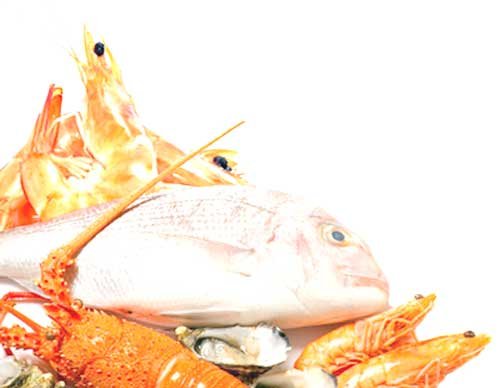 frutos-do-mar-1