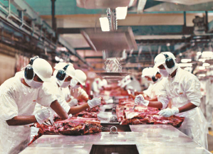 img-343326-exportacoes-de-carne-bovina-registram-alta-de-20-em-faturame