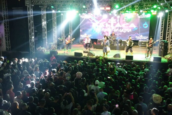 festa do vinho 1