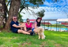 Fim de ano em Foz do Iguaçu: Eco Cataratas Resort se destaca pela estrutura pet friendly