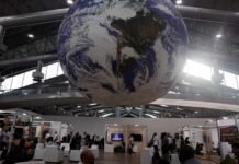 COP30: países amazônicos anunciam monitoramento conjunto da floresta