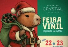 Feira do Vinil do Shopping Crystal entra no clima da Black Friday com descontos especiais