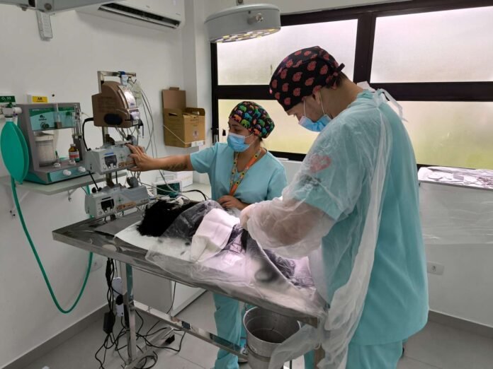 WhatsApp Image 2025-11-11 at 13.17.35 (1)