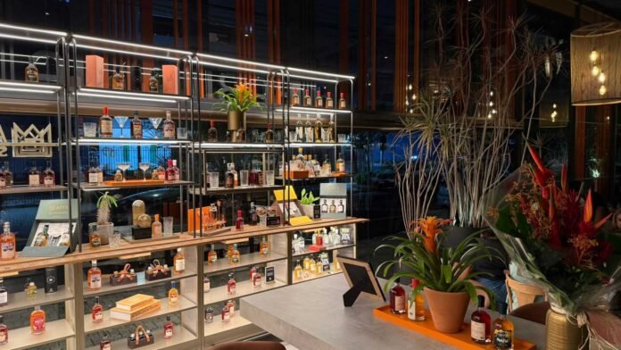 WhatsApp Image 2025-11-13 at 16.42.10 (1)