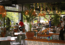 Olaria do Parque se destaca durante o Disney Celebra e a alta do turismo em Curitiba