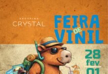 Feira de Vinil retorna ao Shopping Crystal com mais de 7 mil LPs à venda e edição especial nos dias 28 de fevereiro e 1º de março