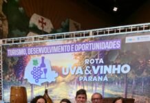 Rota Uva & Vinho Paraná é lançada e reforça enoturismo com participação do Vinhos Vô Vito