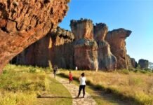 Fórum Viva Campos Gerais apresenta palestra sobre o case do Parque Estadual de Vila Velha
