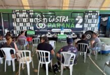 Castra+Paraná2: mutirão oferece 2 mil castrações gratuitas em Curitiba