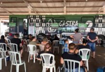 Castra+Paraná 2: mutirão ainda tem vagas abertas para castrações gratuitas no Tatuquara e Boqueirão
