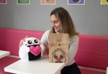 Da cozinha de casa à microfranquia: Onigiri To Go cria modelo de alimentação japonesa com investimento a partir de R$ 90 mil