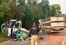 Acidente entre ônibus e caminhão mata 23 pessoas em estrada no Paraná