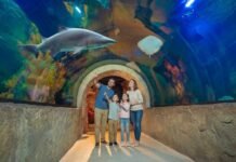 Balneário Camboriú com tempo fechado? Veja 5 passeios para o fim de semana