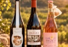 Bodega Costantini apresenta kit de vinhos para a primavera