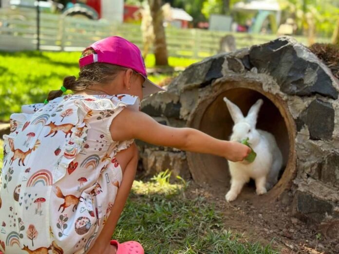 Concurso-de-fantasias-de-animais-sera-destaque-do-Dia-das-Criancas-no-Zoo-Park-Foz