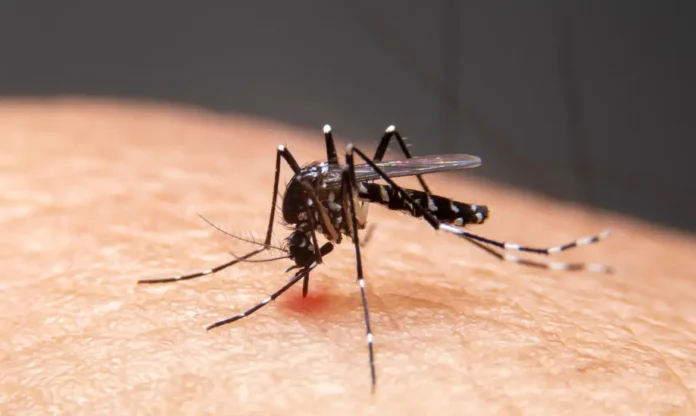 Mudancas-climaticas-ja-causam-aumento-de-doencas-infecciosas-no-pais