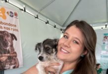 Hospital Veterinário de Curitiba alerta para o Outubro Rosa Pet