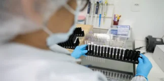 Malária: Anvisa autoriza teste em humanos de vacina 100% brasileira